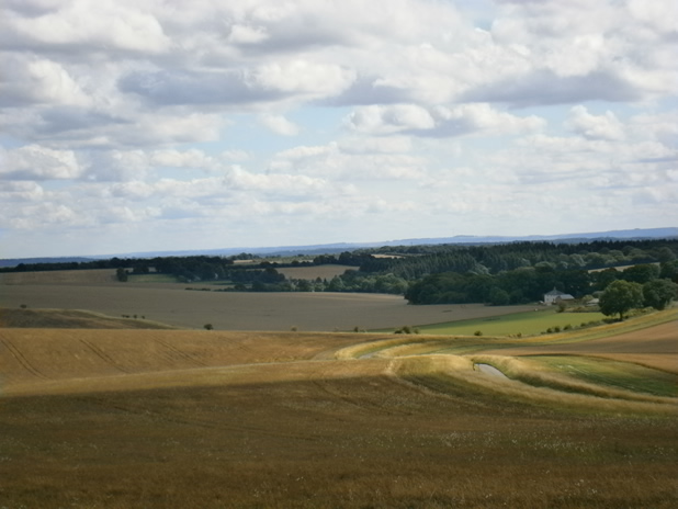 chandler manor farm