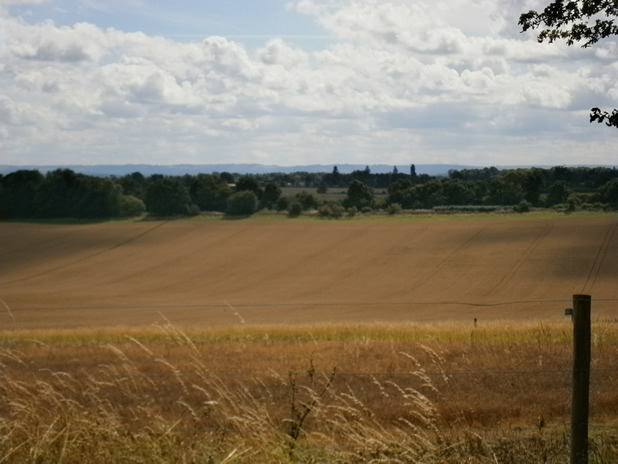 chandler manor farm